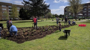 Hanwell big local horticulture